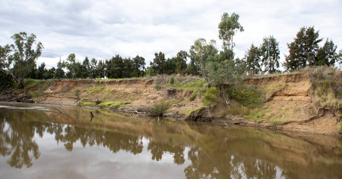 Dubbo Regional Council takes action against new erosion along Macquarie River | The Land