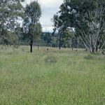 Landowners who disagree with their valuation should lodge an objection | Queensland Country Life