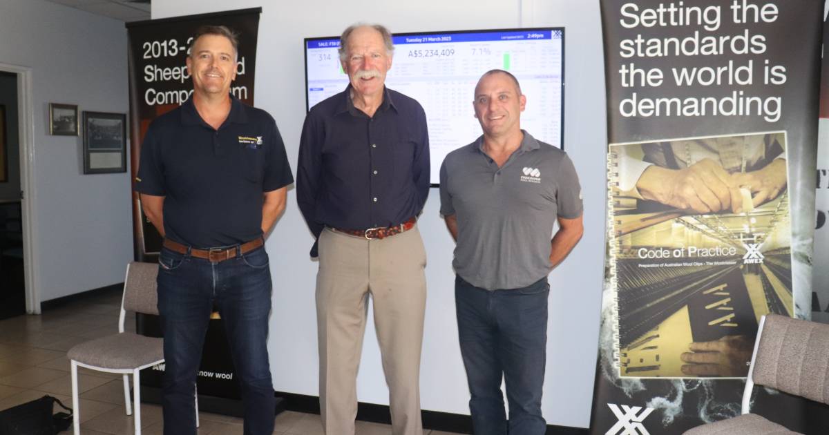 SustainaWOOL has advantages says Victorian breeder | Farm Weekly