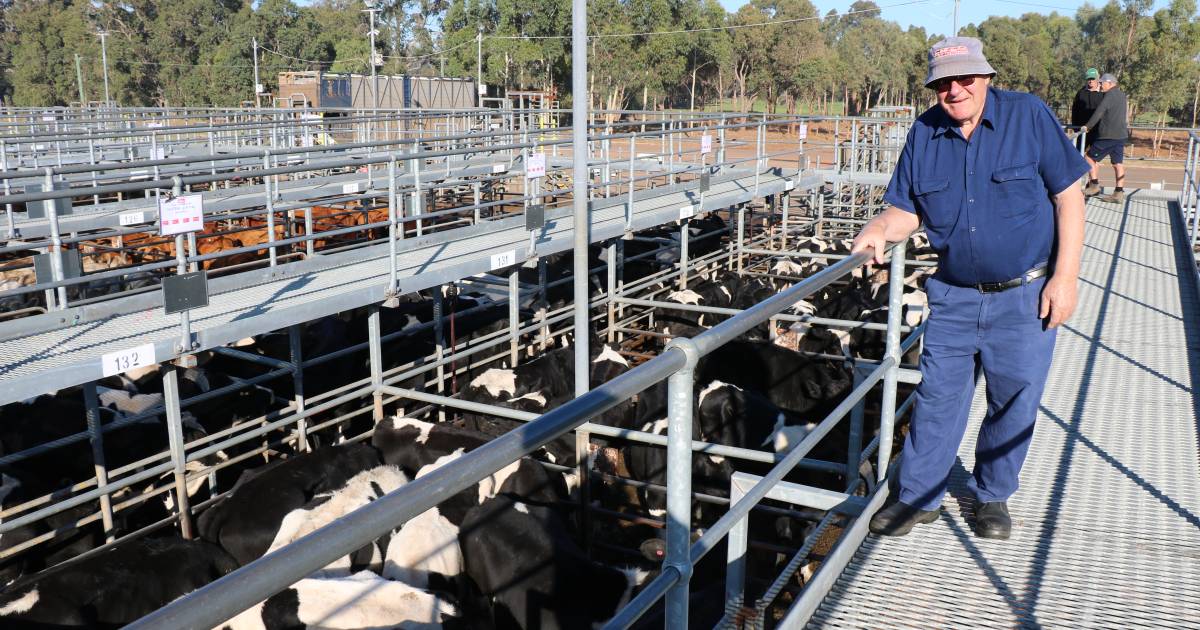 Monthly store sale attracts quality cattle