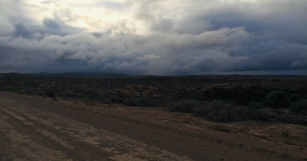 Rain forecast for NSW this weekend with farmers busily preparing | The Land