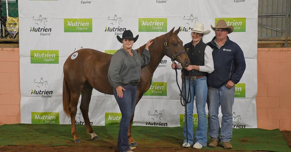 Allora filly Reyns supreme on day one of Nutrien Supreme sale