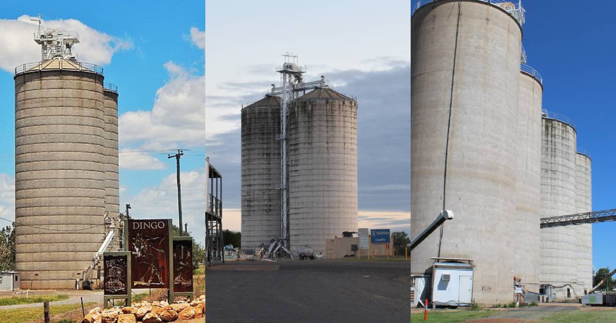 Talk of the town: Central Queensland’s blank grain silos should take inspiration in Australia’s Silo Art Trail | North Queensland Register