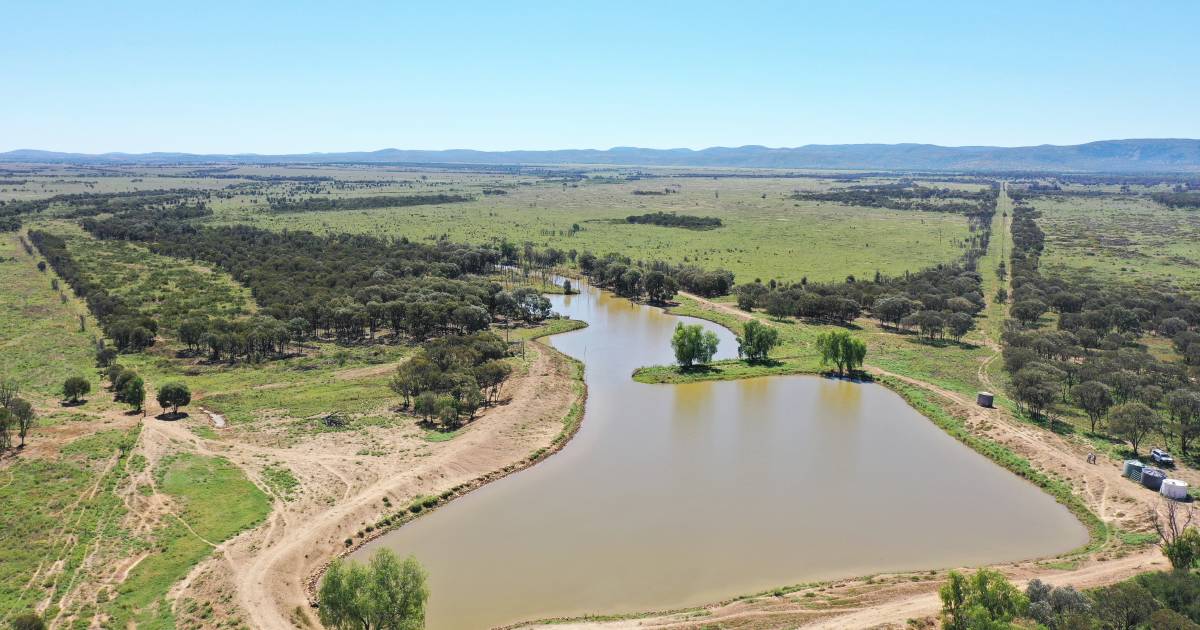 Choice cattle property Moranna sold at auction