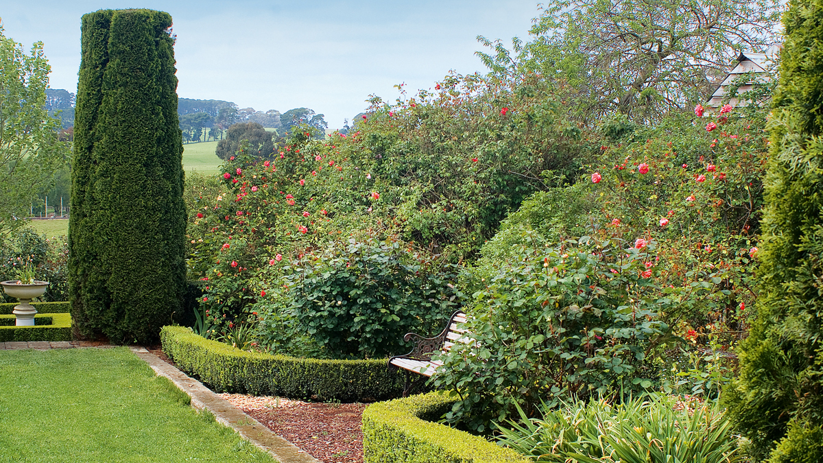 50 Years of the Sheriffmuir Garden in South Australia’s Mt Gambier