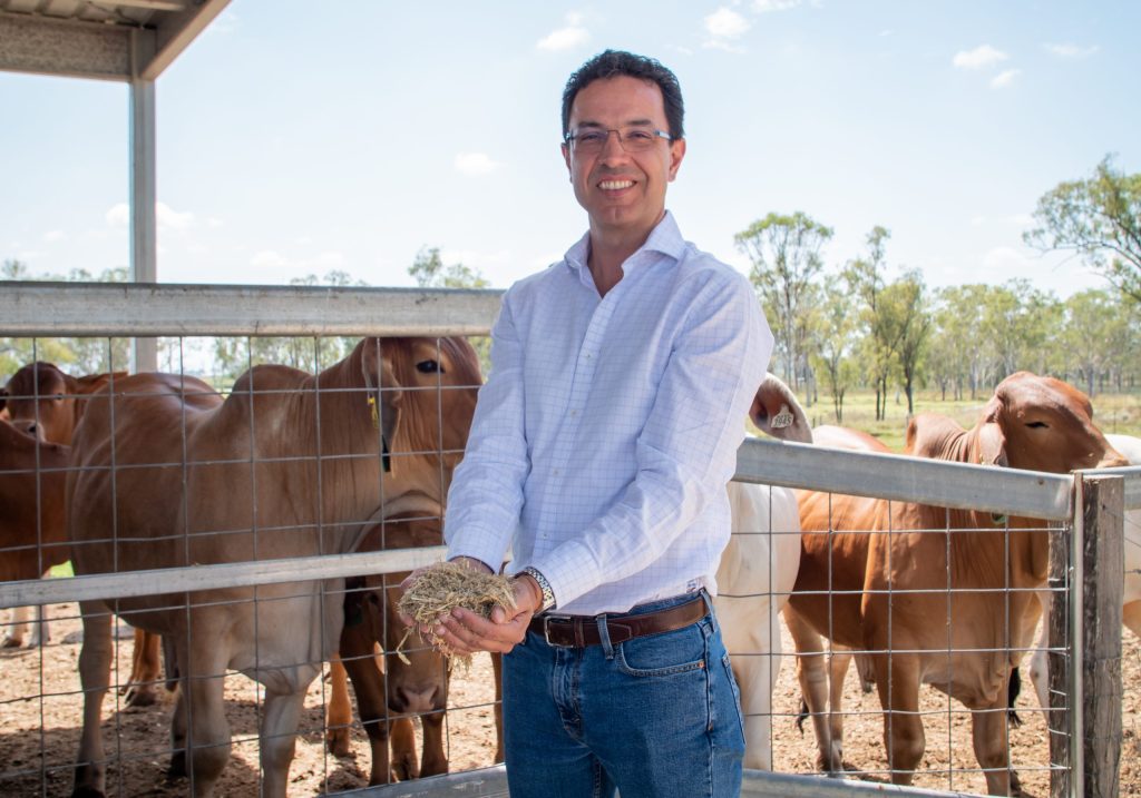 Simple test delivers cattle selection for nitrogen use efficiency