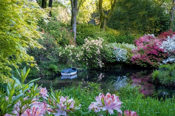 Lukesland: The romantic Dartmoor gardens bursting with exotic blooms and historic shrubs