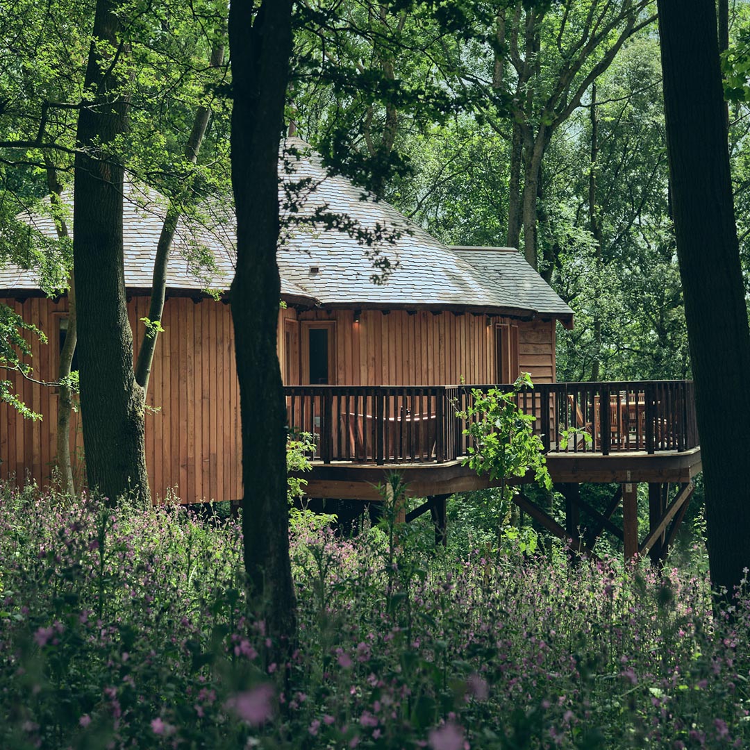 The beautiful treehouses of Callow Hall: ‘The setting is so spectacular that it was important nothing detracted from that’