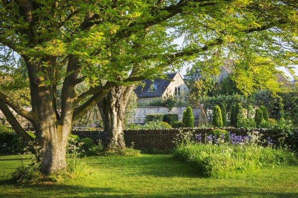 Alan Titchmarsh: Why it’s time for gardeners to Spring into action