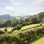 Borde Hill Gardens, and the glory of its incomparable magnolias