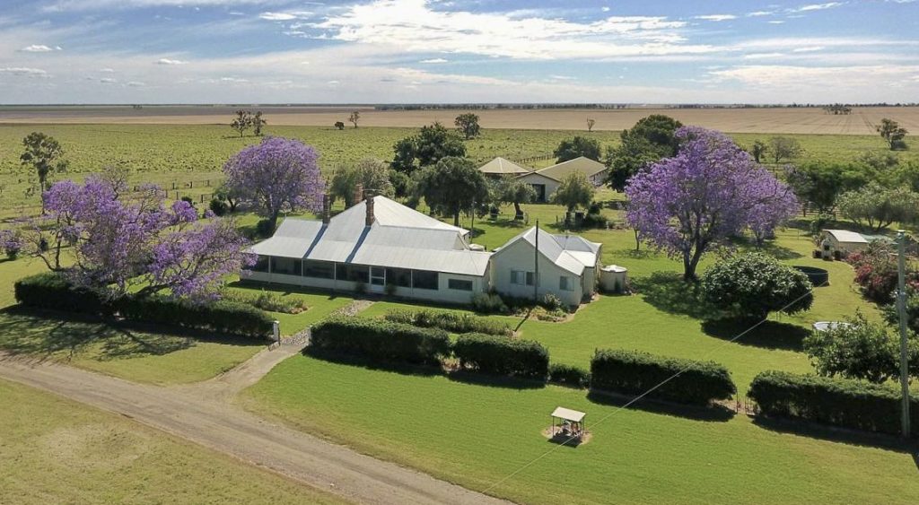 Dalby property purchase will power Belmont Red bull-breeding expansion