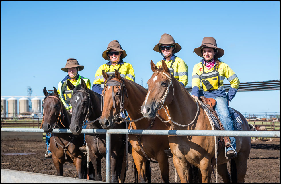 Top 25 lotfeeders: feedlots staffed with more young people, women