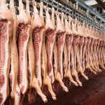 Farmers snubbed on live exports