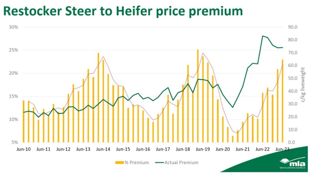 Restocker steer-to-heifer premium at highest level since the drought