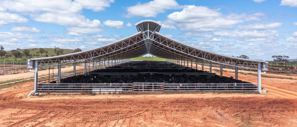 Top 25 Lotfeeders: could shed structures move feedlots into new areas?