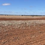 Opinion: Aussie farmers must prepare to measure carbon emissions or risk export markets