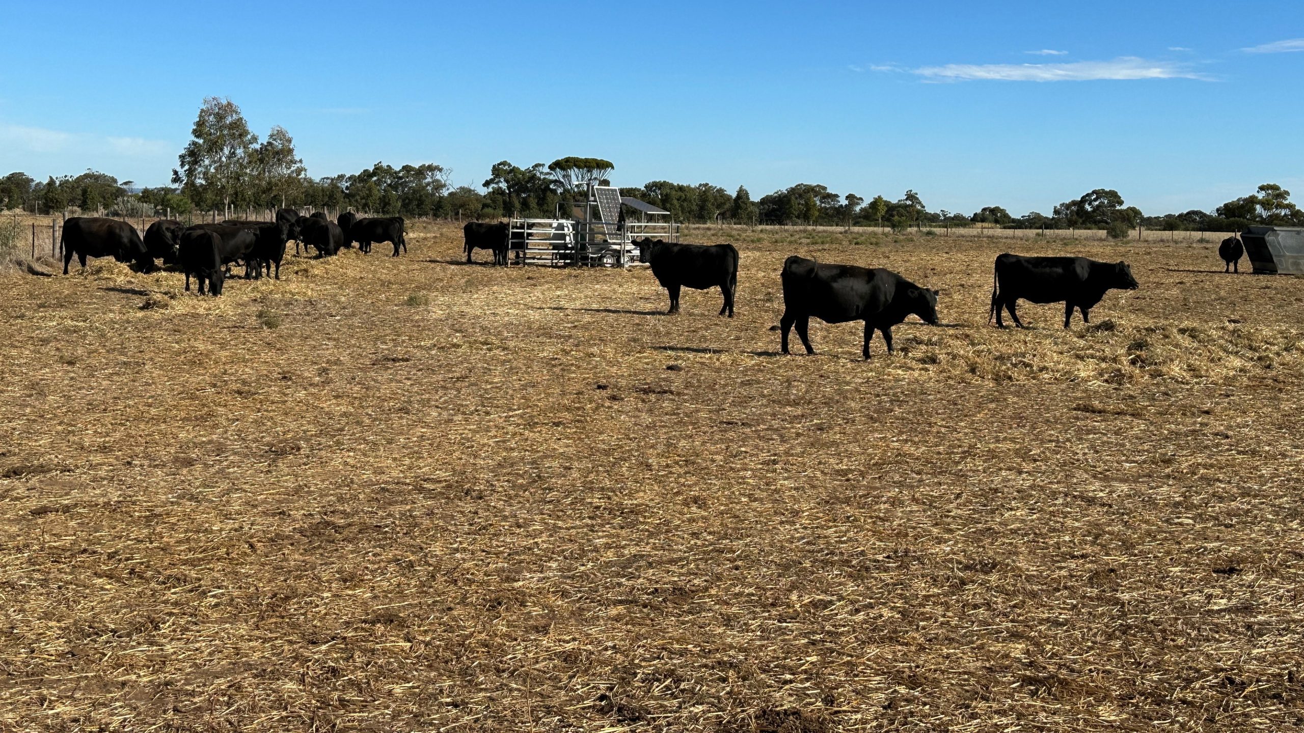 Methane breath testing to tackle emissions