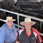 Demand for young cattle at Toowoomba