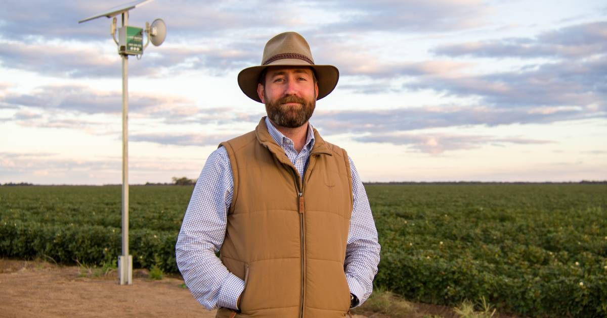 On-farm security cameras like Land Watch and Farm Tech Solutions attract farmer interest | Queensland Country Life