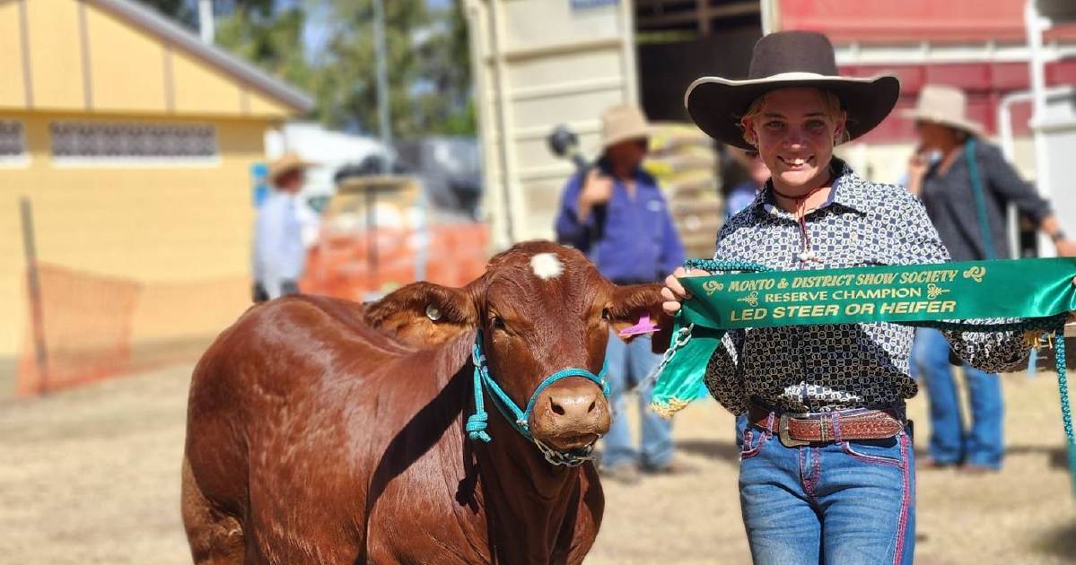 Battle of the Brangus and Brahmans at Marlborough show, while Monto sees more entries