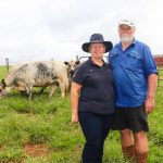 Police are calling on the public for information after a ute was found burnt and dumped in Gin Gin | The Land