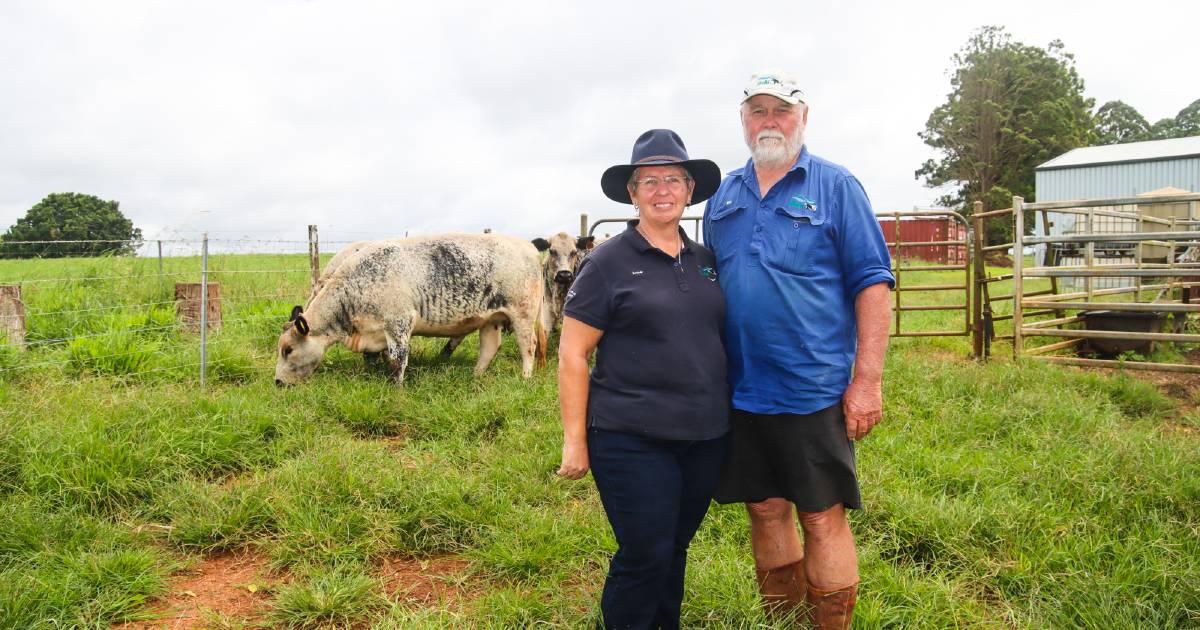 Strong interest in Speckle Park breed in the tropics