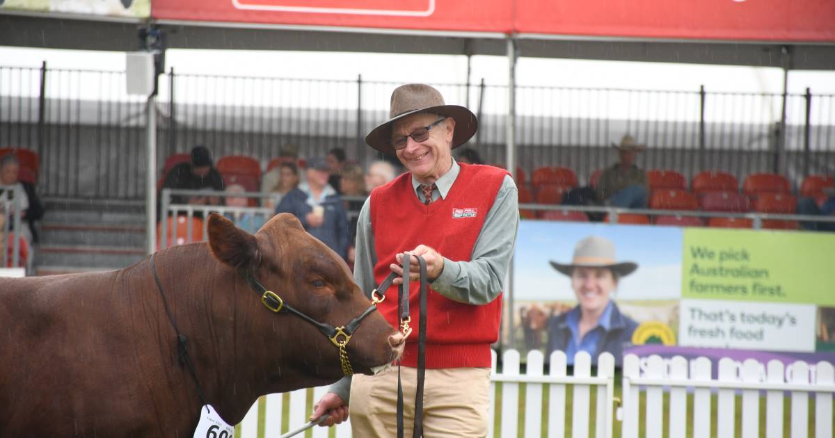 Ross' four decades of devotion to Red Polls celebrated at Sydney Royal