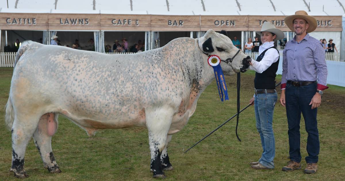 World record claim for Sydney Royal Speckle Park showing