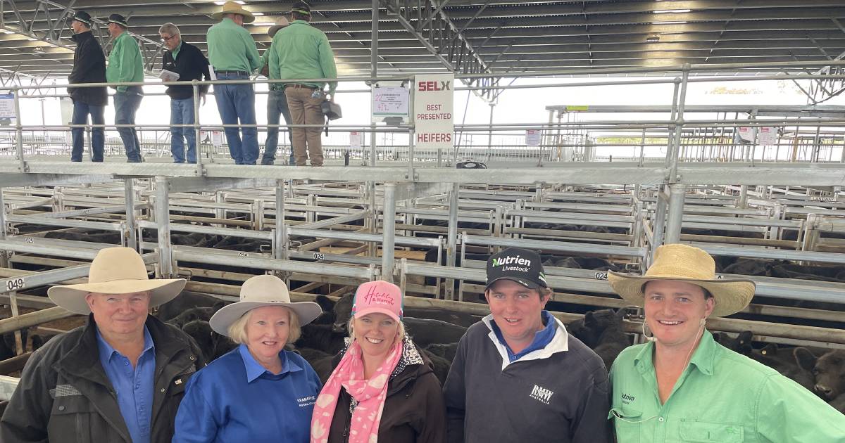 Weaner steers at Yass sold to $1720