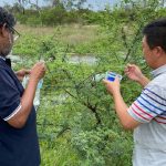 Northern pastoralists bunker down at homesteads