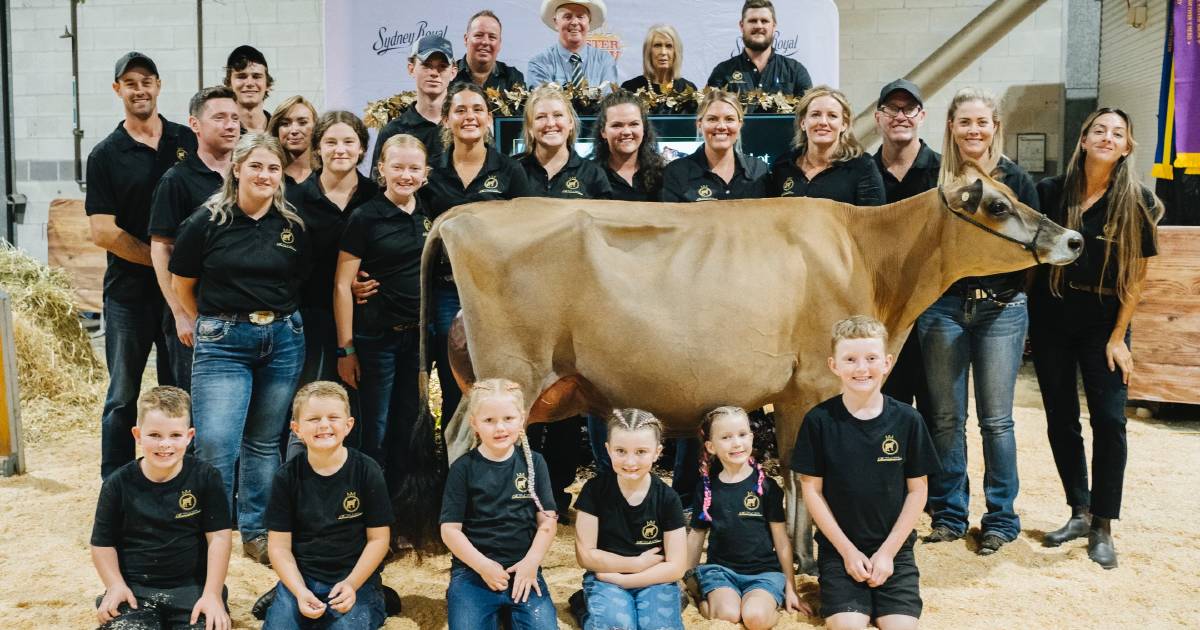 Buyers rendezvous at Sydney Royal