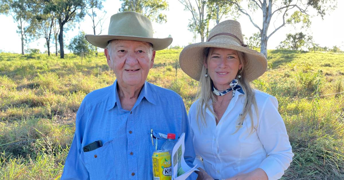 Farmers and scientists gather in Gaeta for pasture dieback trial results | Queensland Country Life