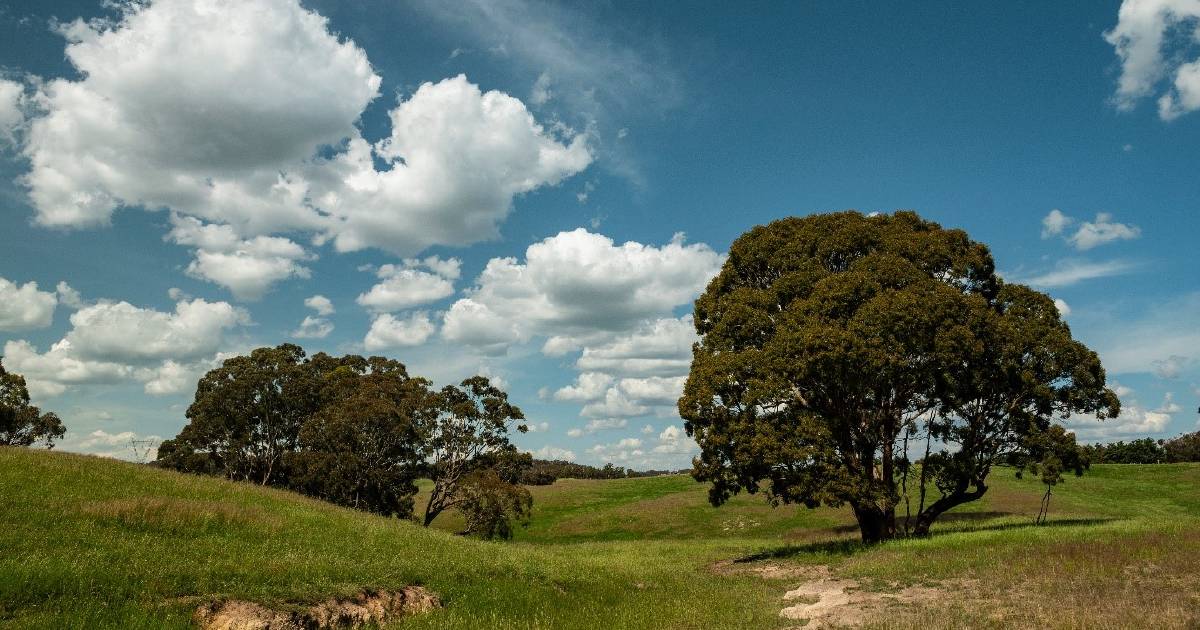 Stories from the heart, take part in South East Landcare Muster | The Land