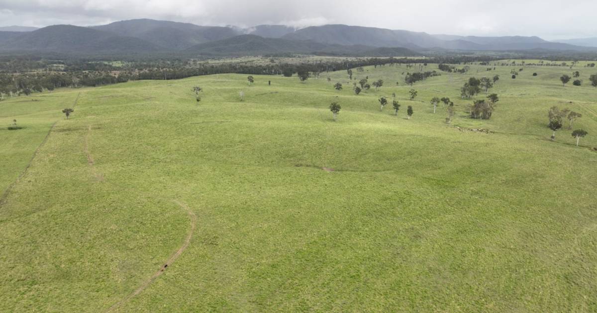 Cattle country for up to 2000 backgrounders