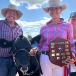 Simmental cross weaner steers top at 440c at Clermont | North Queensland Register