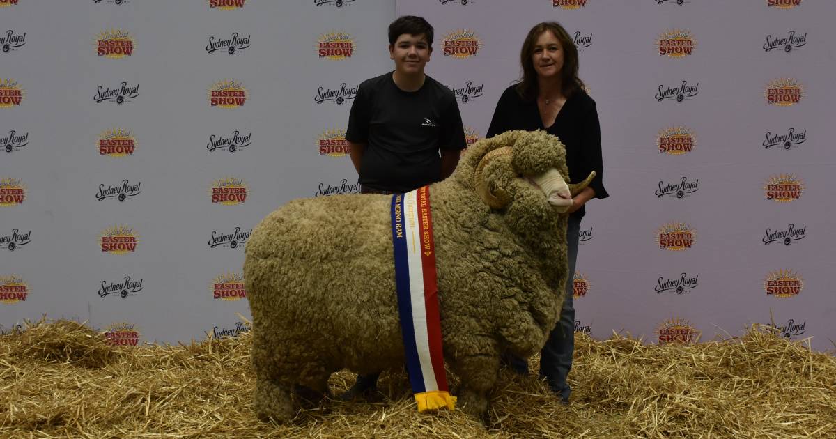 Fine wool championships to Conrayn and Merryville