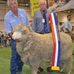 Pine Creek wins Sydney Royal Urquhart and Hordern trophies | The Land