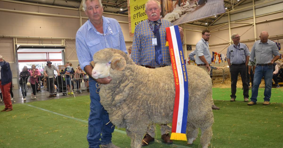 Lach River's strong wools impress Queensland judge with coverage