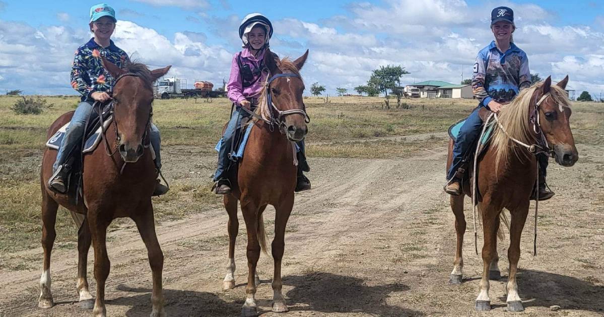 Central Queensland Brumby Challenge set to be a wild ride