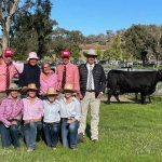 Average eases at Boyanup sale