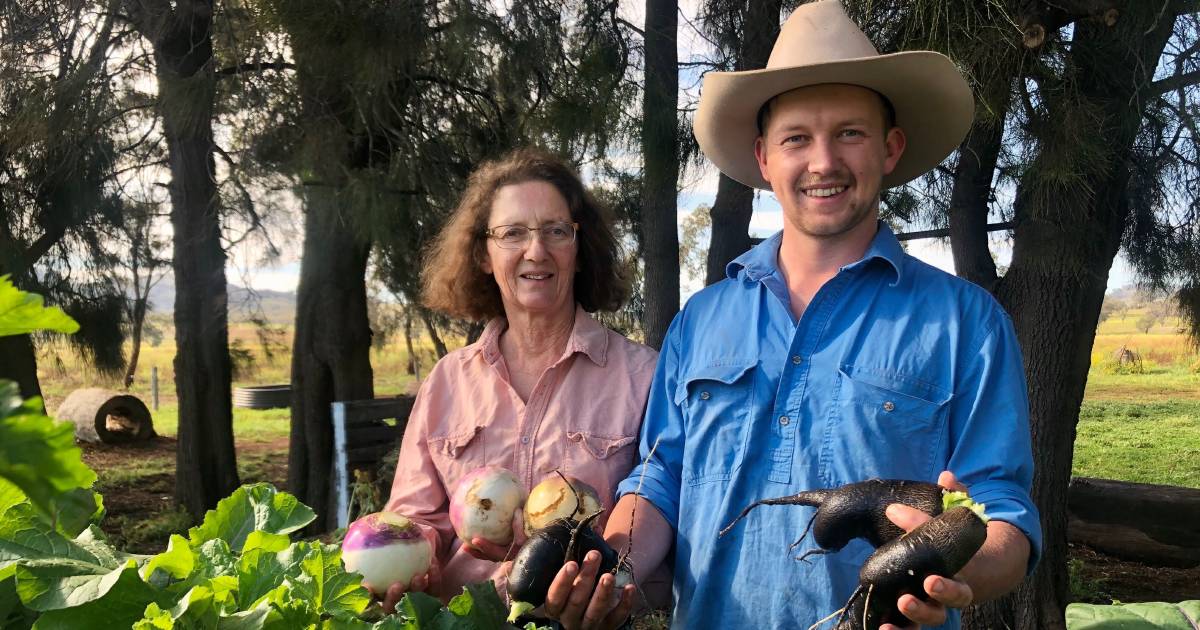 Liverpool Plains farmers say NSW Resources Regulator approved Santos exploration during caretaker mode | The Land