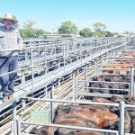 Quality cropping, livestock country heads to auction