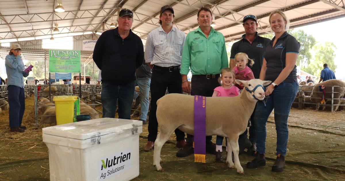 Codji Springs White Suffolk wins at Williams Gateway Expo | Farm Weekly