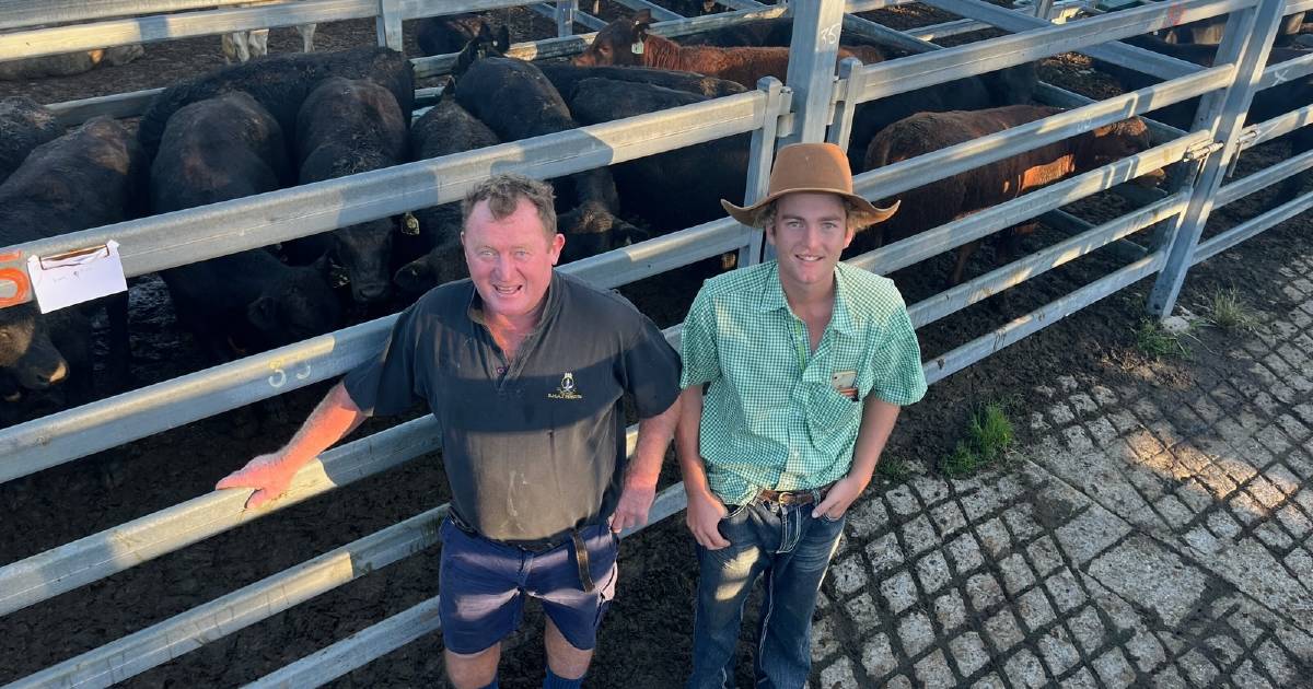 Kempsey sale kicks 90c/kilo for weaners