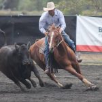 Meet the 2023 The Land Sydney Royal AgShows NSW Young Woman finalists | The Land