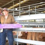 Coolabunia Weaner Show and Sale champion tops at $1685 | Queensland Country Life