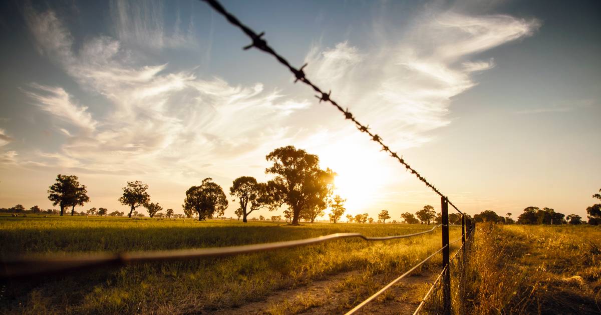 NSW Labor Government urged to connect with rural communities | The Land