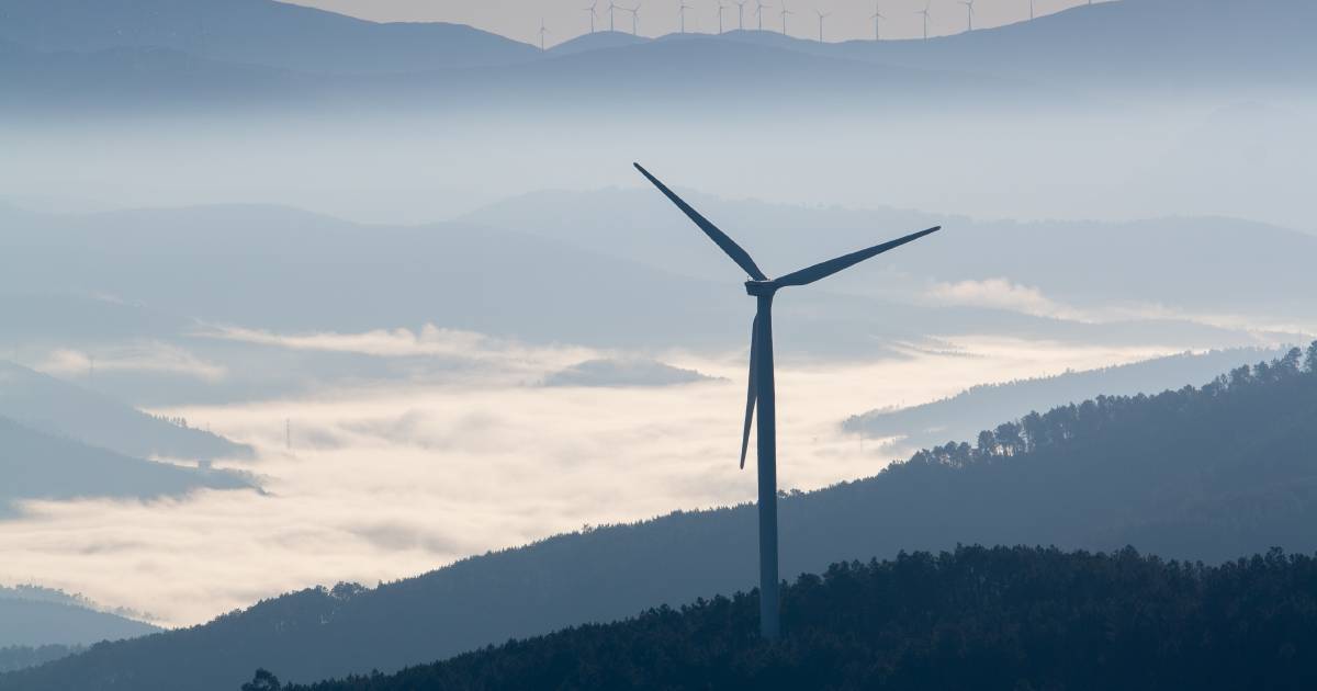 Renewables cowboys riding high into town