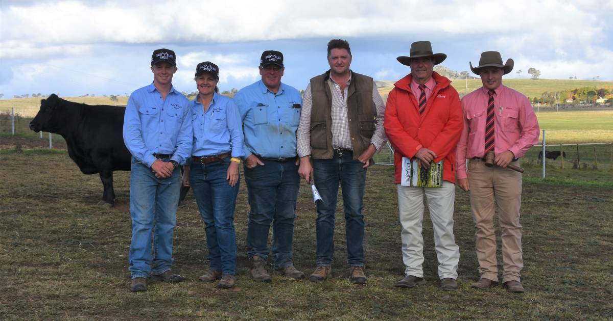 Bald Blair female tops at $20,000