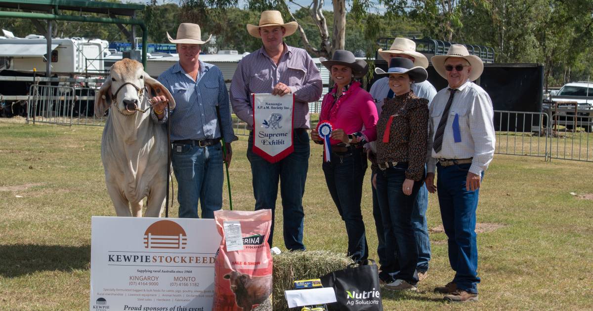 Around the Ring: Nanango and Dalby shows attract mixture of breeds | Queensland Country Life